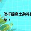 怎樣提高土雜雞養殖效益（關于怎樣提高土雜雞養殖效益介紹）
