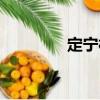 定寧村（關于定寧村介紹）