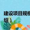 建設項目規模結構（關于建設項目規模結構介紹）