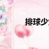排球少女（關于排球少女簡介）