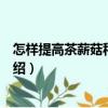 怎樣提高茶薪菇種植效益（關于怎樣提高茶薪菇種植效益介紹）
