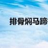 排骨燜馬蹄筍（關于排骨燜馬蹄筍簡介）