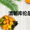 清朝庫倫是現在什么地方（庫倫簡介）