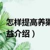 怎樣提高養獺兔效益（關于怎樣提高養獺兔效益介紹）