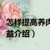 怎樣提高養肉羊效益（關于怎樣提高養肉羊效益介紹）