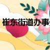 崔東街道辦事處（關于崔東街道辦事處簡介）