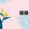 排骨串（關于排骨串簡介）