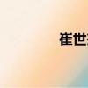 崔世杰（關于崔世杰簡介）
