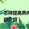 怎樣提高養肉雞效益（關于怎樣提高養肉雞效益介紹）
