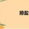 排鹽管（關于排鹽管簡介）