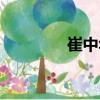 崔中華（關于崔中華簡介）