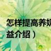 怎樣提高養奶牛效益（關于怎樣提高養奶牛效益介紹）