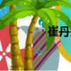 崔丹丹（關于崔丹丹簡介）