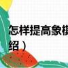 怎樣提高象棋技藝（關于怎樣提高象棋技藝介紹）