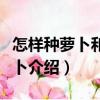 怎樣種蘿卜和胡蘿卜（關于怎樣種蘿卜和胡蘿卜介紹）