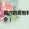 掘穴鸚哥智利亞種（關于掘穴鸚哥智利亞種簡介）