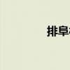 排阜村（關于排阜村簡介）