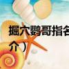 掘穴鸚哥指名亞種（關于掘穴鸚哥指名亞種簡介）