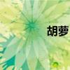 胡蘿卜須歌詞（歌手簡介）