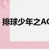 排球少年之ACE（關于排球少年之ACE簡介）
