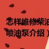 怎樣維修柴油機噴油泵（關于怎樣維修柴油機噴油泵介紹）