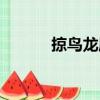 掠鳥龍屬（關于掠鳥龍屬簡介）