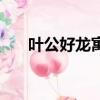 葉公好龍寓意（告訴了我們什么道理）