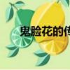 鬼臉花的傳說（有關于鬼臉花的傳說）
