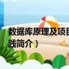 數據庫原理及項目開發實踐（關于數據庫原理及項目開發實踐簡介）
