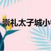 崇禮太子城小鎮（關于崇禮太子城小鎮簡介）