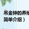 吊金鐘的養殖方法是什么（吊金鐘的養殖方法簡單介紹）