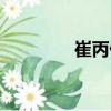 崔丙偉（關于崔丙偉簡介）