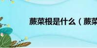 蕨菜根是什么(蕨菜根介紹)