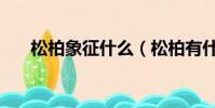 松柏象征什么(松柏有什么象征意義)