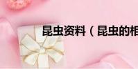 昆蟲資料(昆蟲的相關知識)