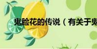 鬼臉花的傳說(有關于鬼臉花的傳說)