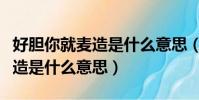 好膽你就麥造是什么意思(網絡語好膽你就麥造是什么意思)