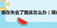 現在失業了我該怎么辦(現在失業了如何好)