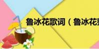 魯冰花歌詞(魯冰花整首歌詞)