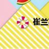 崔蘭英（關于崔蘭英簡介）