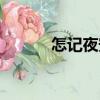 怎記夜安（關于怎記夜安介紹）