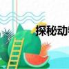 探秘動物（關于探秘動物簡介）