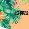 怕你孤單（關于怕你孤單介紹）