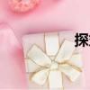 探丸（關于探丸簡介）