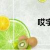 哎字組詞語（哎咋組詞）