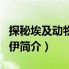 探秘埃及動物木乃伊（關于探秘埃及動物木乃伊簡介）