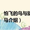 怕飛的鳥與旋轉木馬（關于怕飛的鳥與旋轉木馬介紹）