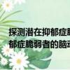 探測潛在抑郁癥脆弱者的腦動態模型研究（關于探測潛在抑郁癥脆弱者的腦動態模型研究簡介）