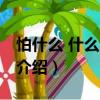 怕什么 什么也不怕（關于怕什么 什么也不怕介紹）