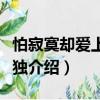 怕寂寞卻愛上了孤獨（關于怕寂寞卻愛上了孤獨介紹）